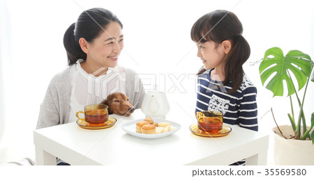 父母和孩子狗茶時間 父母和孩子狗茶時間 35569580