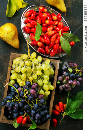 autumn fruits 35569583