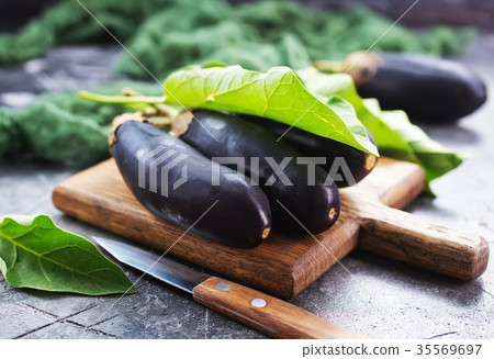 eggplant 35569697