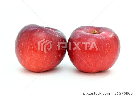 Apple (Shinanohoppe) 35570966