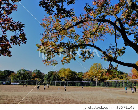 秋天的公園 秋天的公園 35571143
