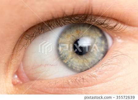 children's eyes. macro 35572639