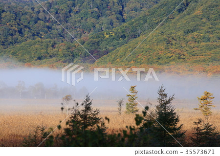 Fall of Senjakagahara 35573671