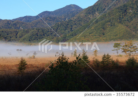 Fall of Senjakagahara Fall of Senjakagahara 35573672