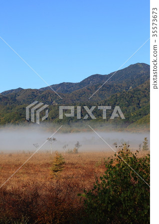 Fall of Senjakagahara Fall of Senjakagahara 35573673