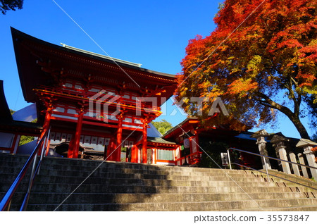 Omi Jingu Aki 35573847