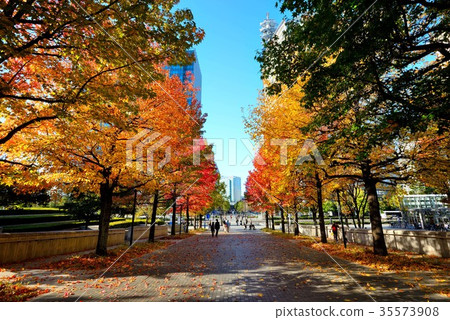 Autumn in Minato Mirai Autumn in Minato Mirai 35573908
