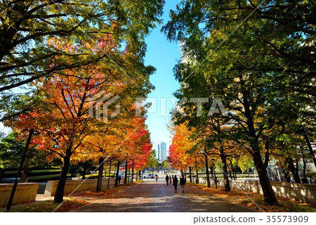 Autumn in Minato Mirai　 35573909