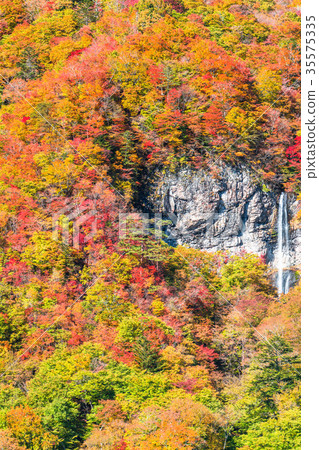 «Tochigi Prefecture» Waterfalls of the heart waterfall «Tochigi Prefecture» Waterfalls of the heart waterfall 35575335