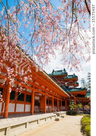 Heian Shrine White Tiger Tower and Sakura Sakyo Ward, Kyoto City, Kyoto Prefecture *Photographed in April 2017 Heian Shrine White Tiger Tower and Sakura Sakyo Ward, Kyoto City, Kyoto Prefecture *Photographed in April 2017 35575497