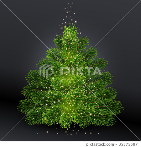 Realistic Christmas green tree without toys. Realistic Christmas green tree without toys. 35575597