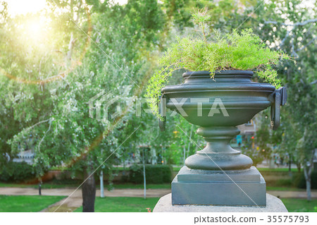 Decorative vase or planter Decorative vase or planter 35575793