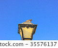 Old vintage metal street lamp and dove 35576137
