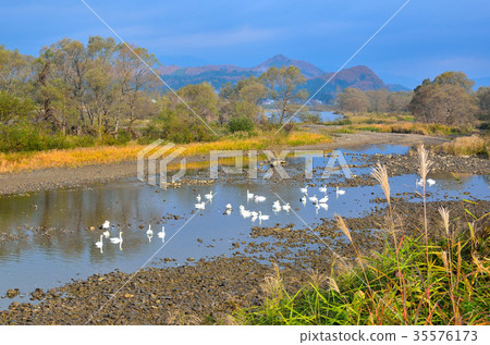 Shiratori Akita ken Ogino 35576173