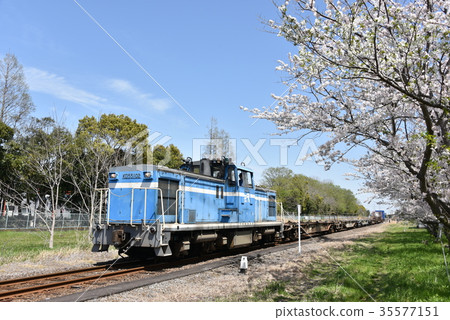 Cherry blossoms and freight trains 35577151