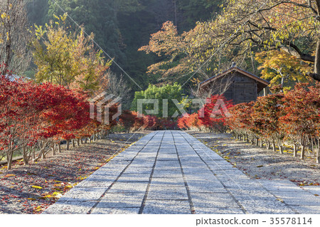Bessho Onsen Shiotadaira, Chuzenji 35578114