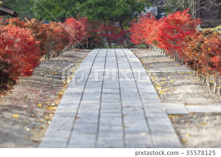 別松溫泉Shiotadaira,中禪寺 別松溫泉Shiotadaira,中禪寺 35578125