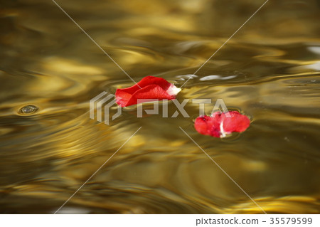 Petal illusion of water surface Petal illusion of water surface 35579599