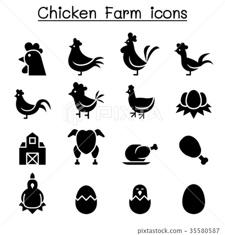 Chicken icon set Chicken icon set 35580587