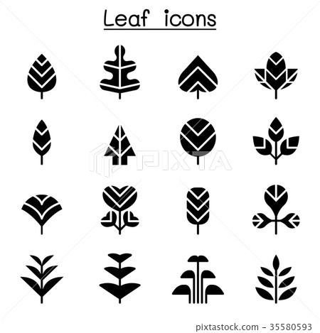 Leaf & Tree icon set Leaf & Tree icon set 35580593