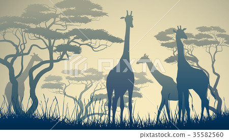 Illustration of wild giraffes in African savanna. Illustration of wild giraffes in African savanna. 35582560