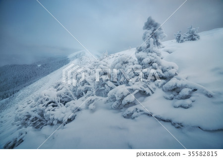 Fantastic winter landscape Fantastic winter landscape 35582815