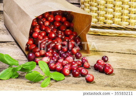Freshly harvested raw organic red cranberries on w Freshly harvested raw organic red cranberries on w 35583211