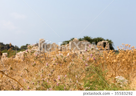 Color spines on the background of the ruins of Color spines on the background of the ruins of 35583292