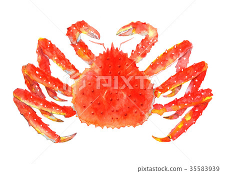 Tarabagani watercolor illustration 35583939