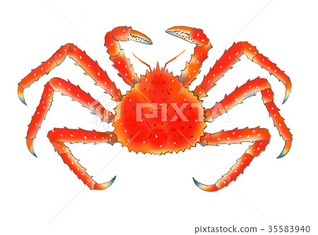 Watercolor illustration with crab 35583940