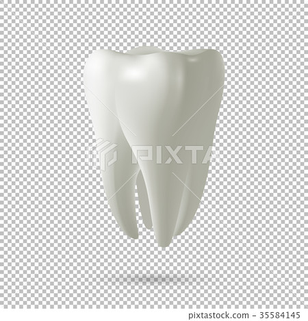 Realistic vector tooth icon isolated on-插圖素材 [35584145] - PIXTA圖庫