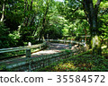 Lake Tama cycling road 35584572