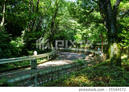 Lake Tama cycling road 35584572
