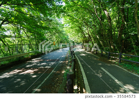 Lake Tama cycling road 35584573