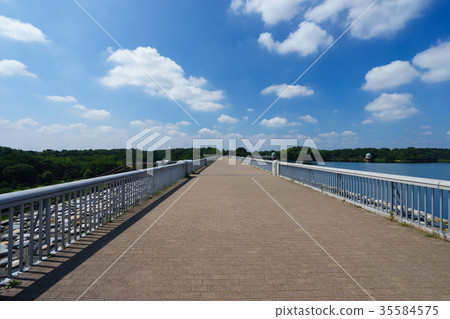 Lake Tama cycling road 35584575