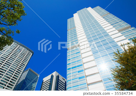 Autumn leaves Shinagawa Intercity and Shinagawa Grand Commons 35584734