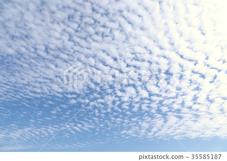 Autumn clouds (November) 35585187