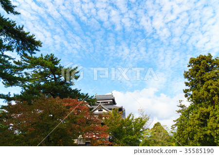 秋天松江城堡秋葉和秋天天空 35585190