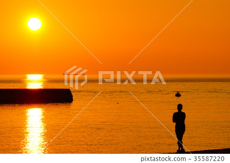 一個人的暮光之城 一個人的暮光之城 35587220