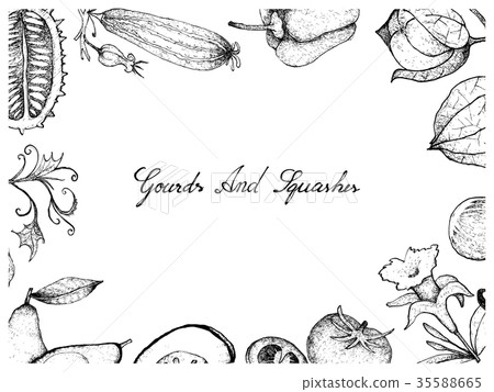 Hand Drawn of Gourd and Squash Fruits Frame 35588665