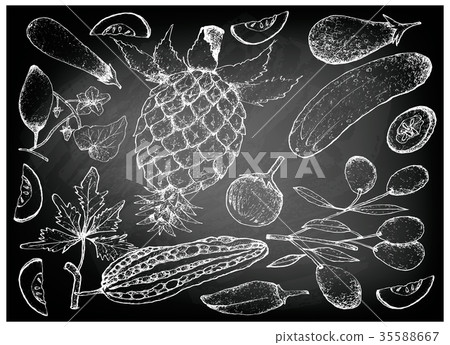 Hand Drawn of Gourd and Squash Fruits 35588667