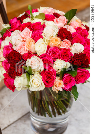 nice roses nice roses 35589642