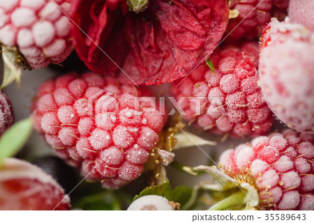 frozen berries frozen berries 35589643