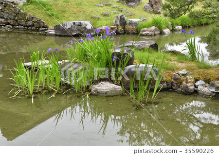Katsura Rikyu Ikeizumi可步行花園 Katsura Rikyu Ikeizumi可步行花園 35590226