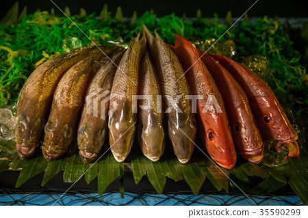 Fresh fish on display 35590299