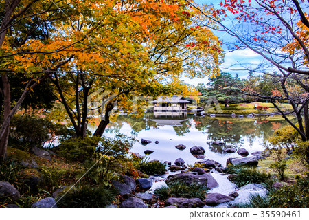 Autumn Japanese Garden 35590461
