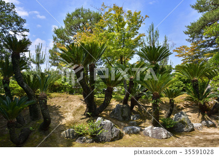 Katsura Rikyu Sentetsu Katsura Rikyu Sentetsu 35591028