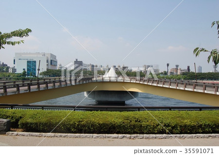 隅田川的美麗的“櫻花橋” 35591071