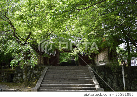 Gorya寺門 35591095