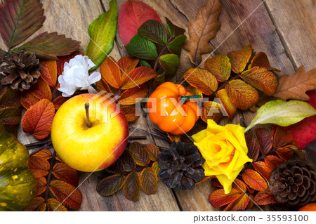 Thanksgiving rustic background apple, pine cones Thanksgiving rustic background apple, pine cones 35593100